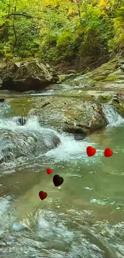 Serene forest stream with green foliage.