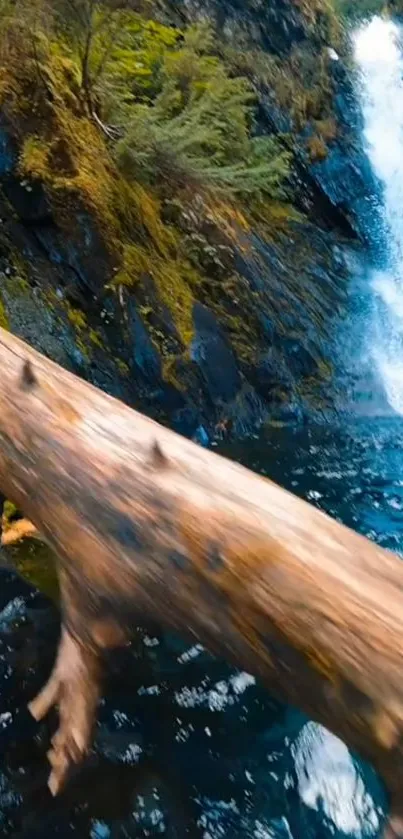 A serene forest waterfall with mossy rocks and tranquil flowing water.