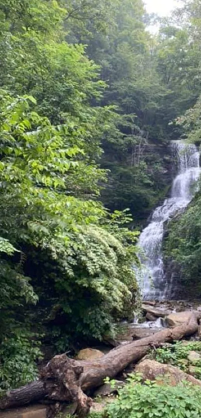 Forest waterfall mobile wallpaper with lush green surroundings.