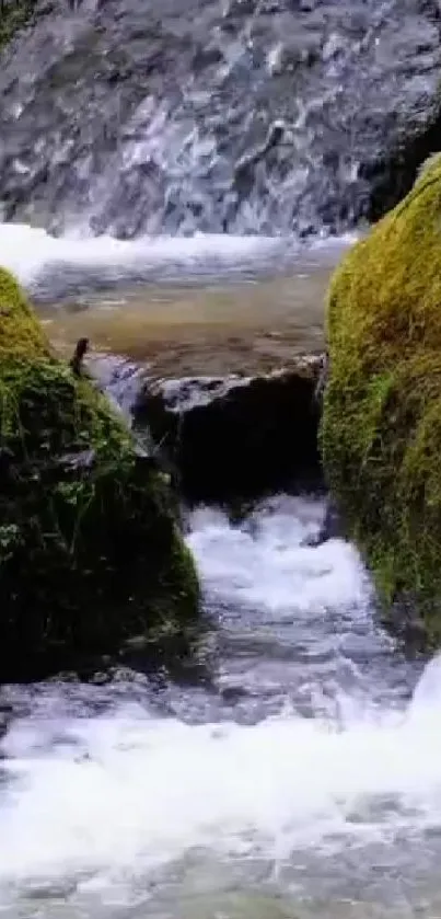 Serene waterfall with mossy rocks in a forest setting.