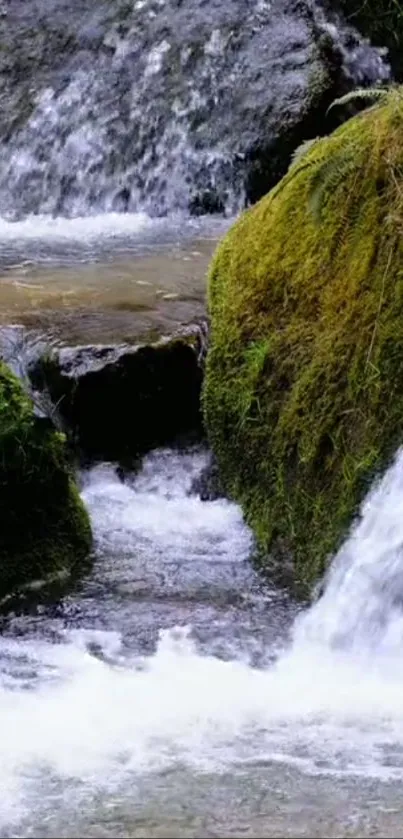 Serene forest waterfall with lush greenery and flowing water.