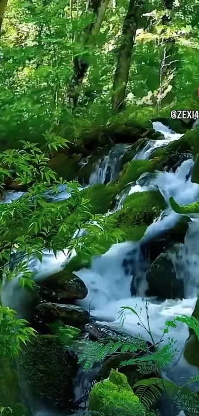 Lush forest with cascading waterfall and vibrant green foliage.