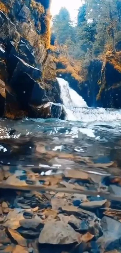 Serene waterfall in a lush forest with clear water and rocks.