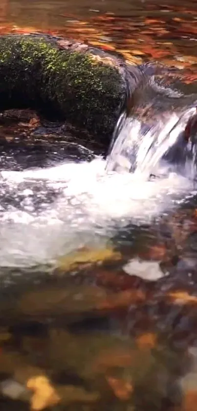 Mobile wallpaper of a forest waterfall with autumn leaves.