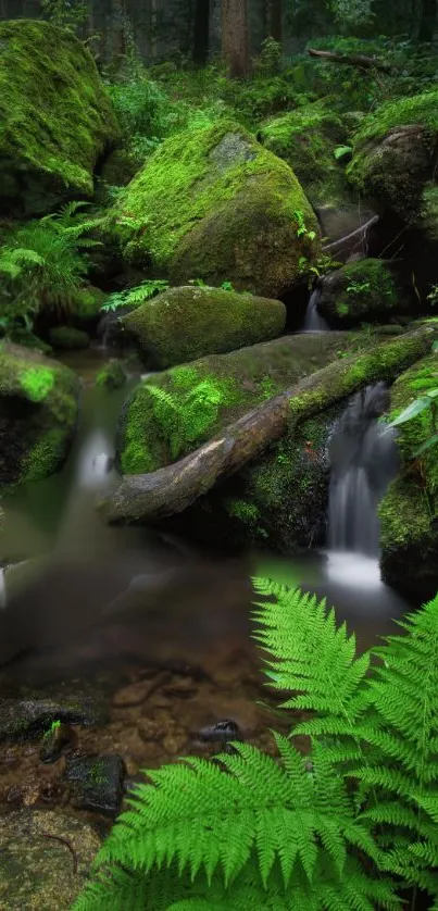 Serene forest waterfall with moss-covered rocks.