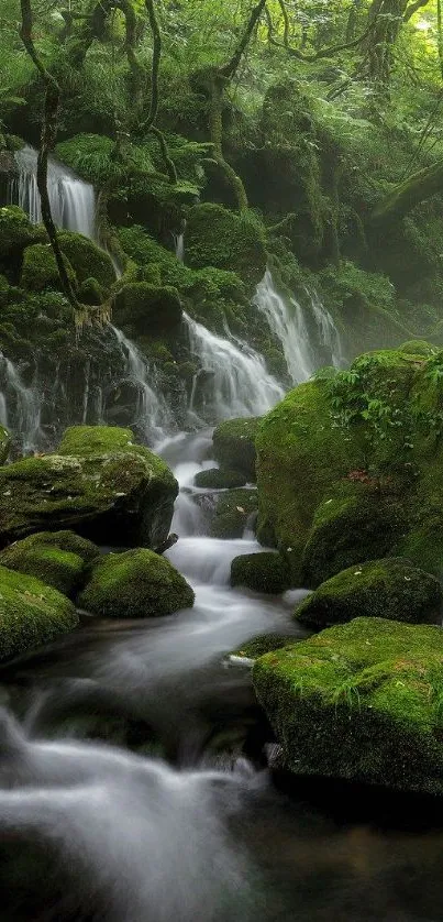 Lush forest waterfall with green mossy rocks.