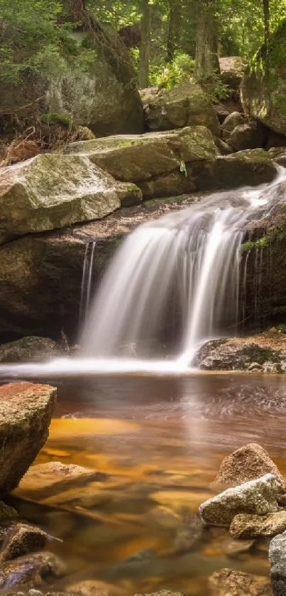 Scenic forest waterfall with lush green surroundings and rocky stream.