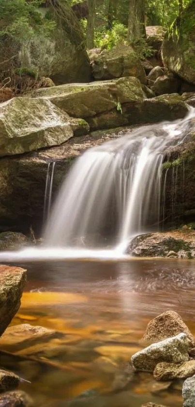 Waterfall in a lush green forest with rocky surroundings.