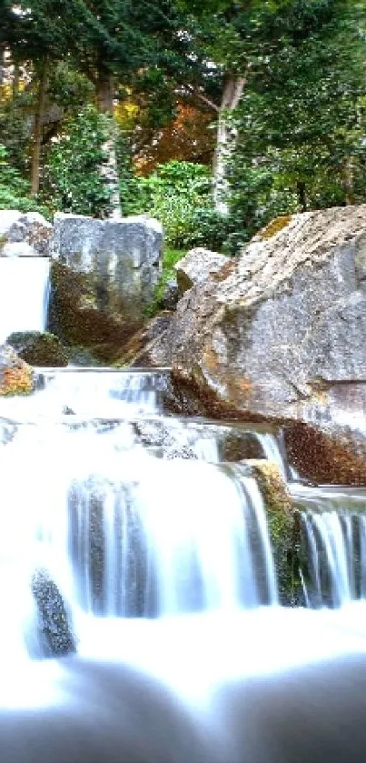 Serene forest waterfall cascading over rocks.