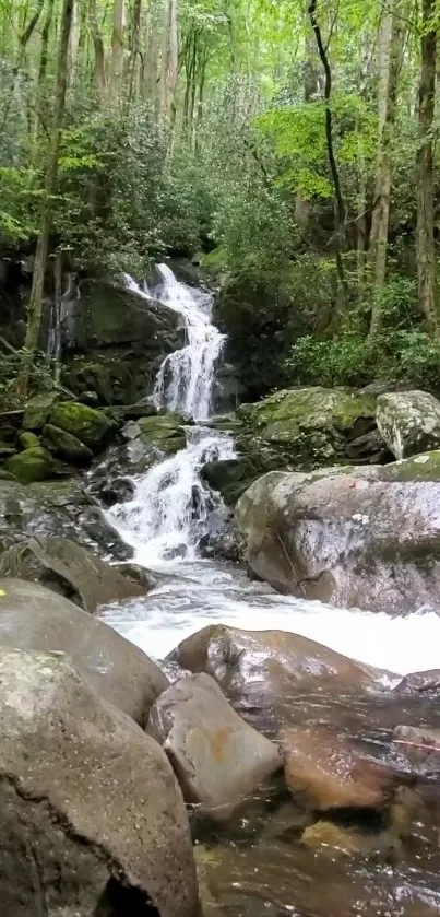 Scenic waterfall flowing through a lush green forest landscape.