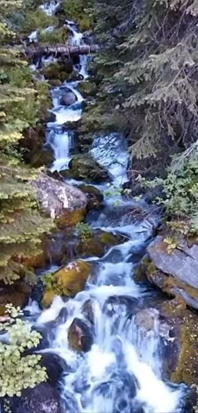 A serene forest waterfall flowing through lush greenery.