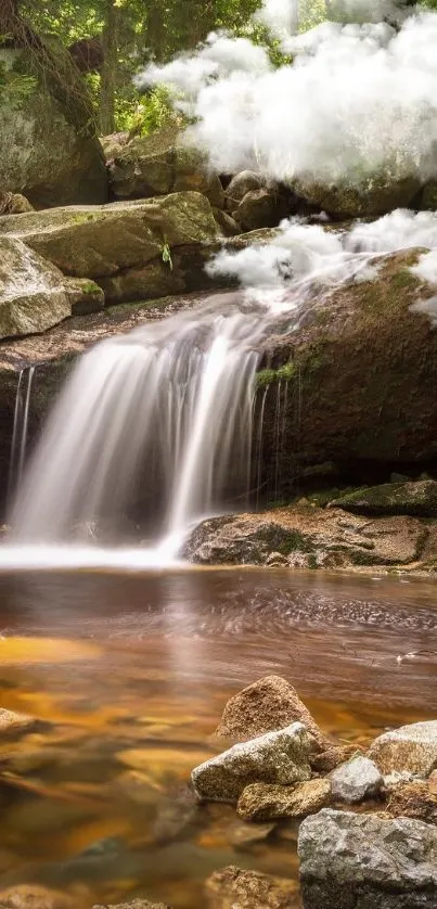 Peaceful forest waterfall with lush greenery.