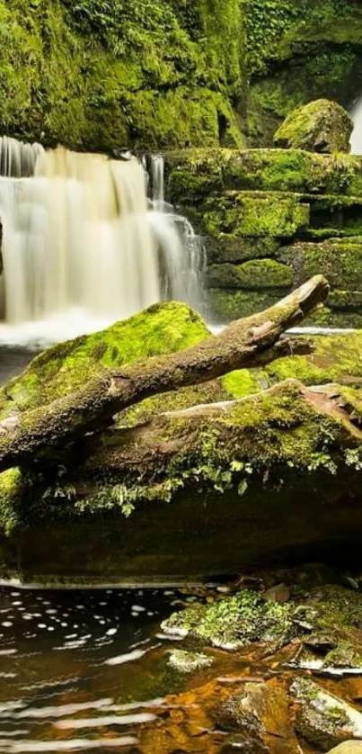 Lush green forest with a cascading waterfall.