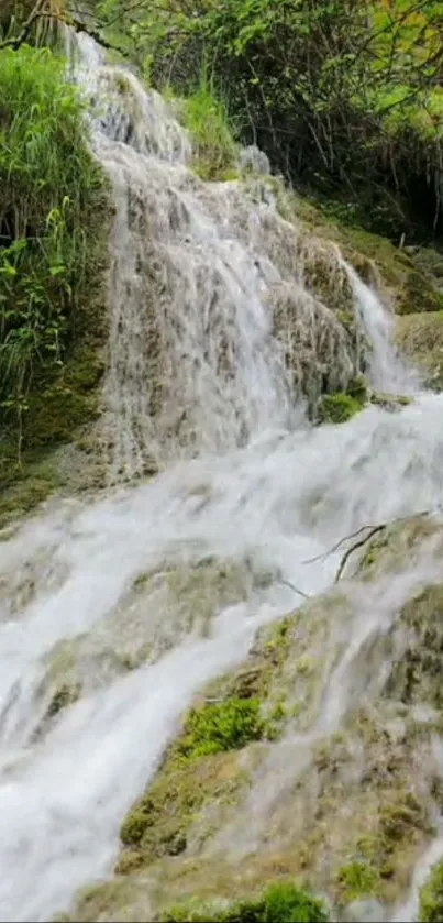 A serene forest waterfall flowing over mossy rocks with lush greenery.