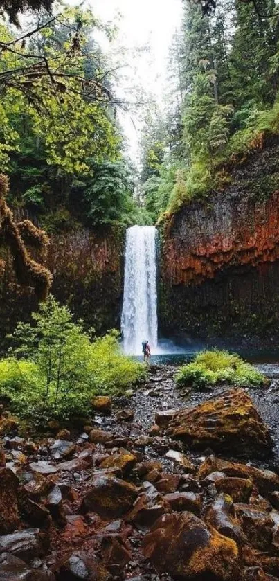 Lush forest with a cascading waterfall.