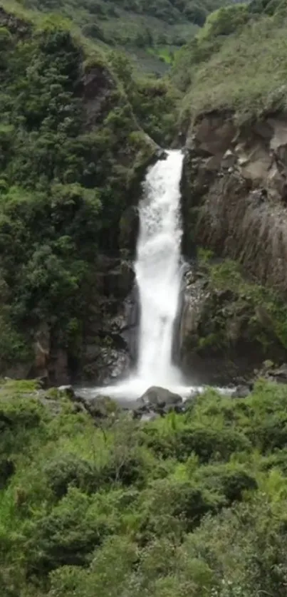 A serene waterfall cascading through a lush green forest landscape.