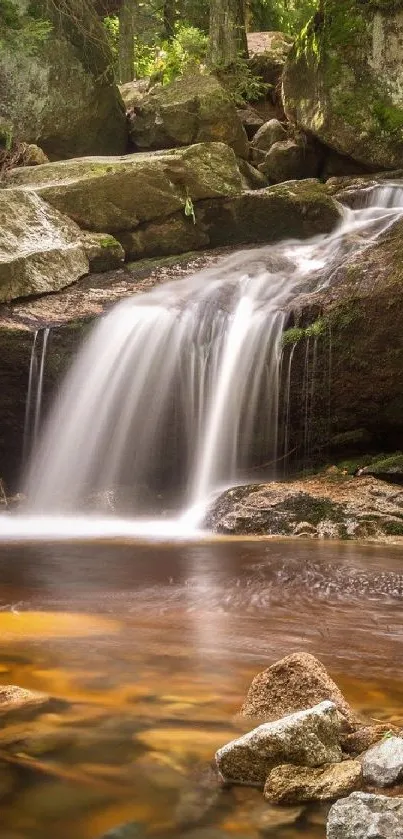 Tranquil waterfall flowing over rocks in a lush forest setting.