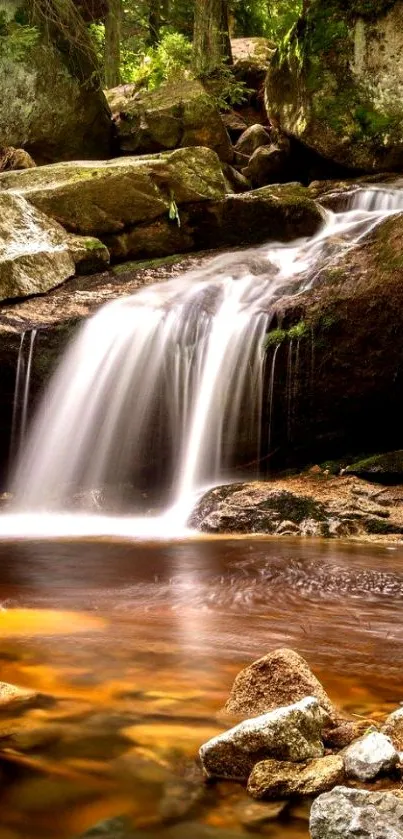 Serene forest waterfall with rocky creek.