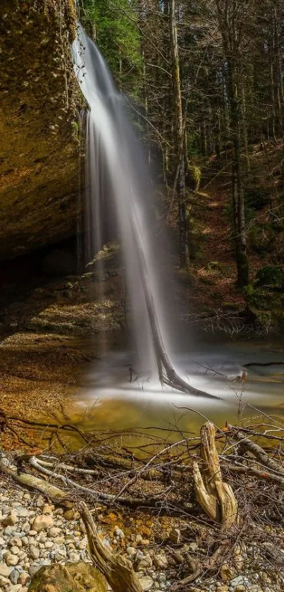 Serene forest waterfall with rocky foreground