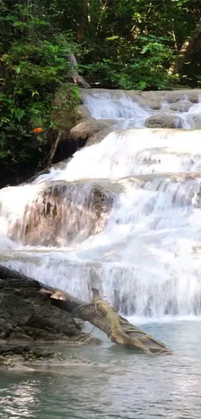 Serene waterfall in forest setting for mobile wallpaper.