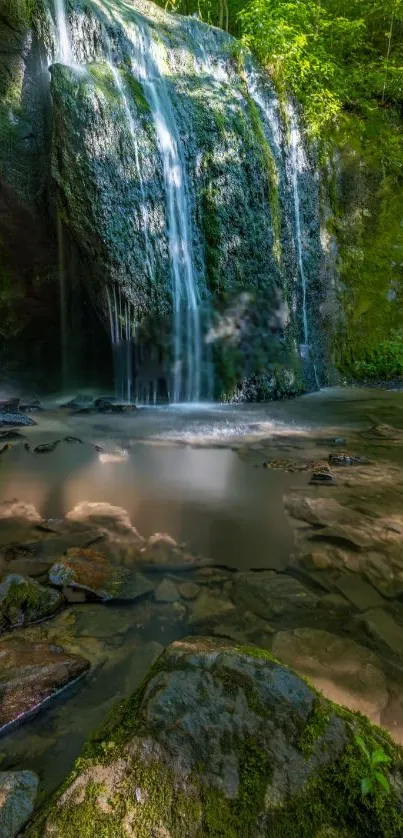 Tranquil waterfall amid lush forest scenery for mobile wallpaper.