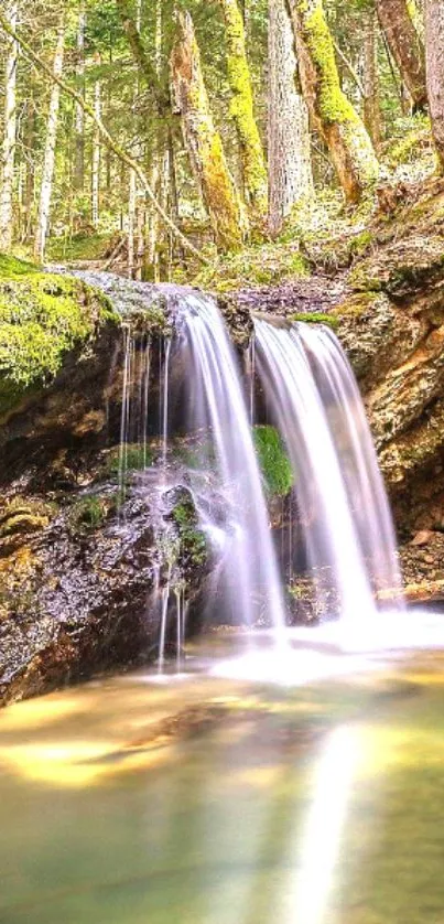 Serene forest waterfall with lush greenery and clear water.