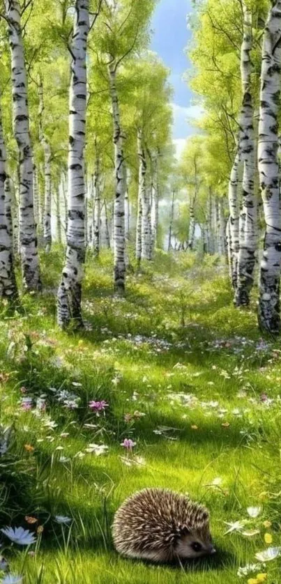 Peaceful birch forest with hedgehog.