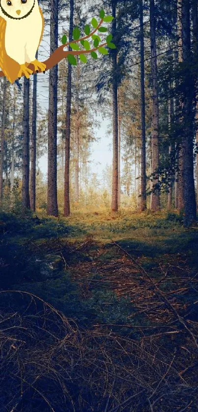 Tranquil forest scene with an owl perched on a branch.
