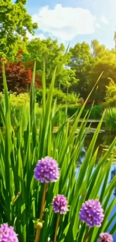 Beautiful garden with flowers and lush greenery under a bright sky.
