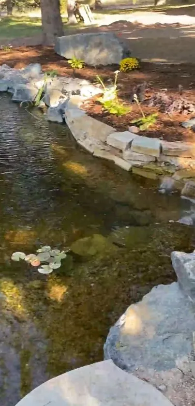 Serene garden pond with stones and water reflections in nature.