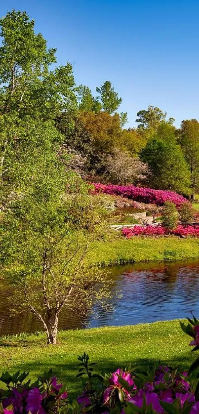 Serene riverside garden with vibrant flowers and greenery.