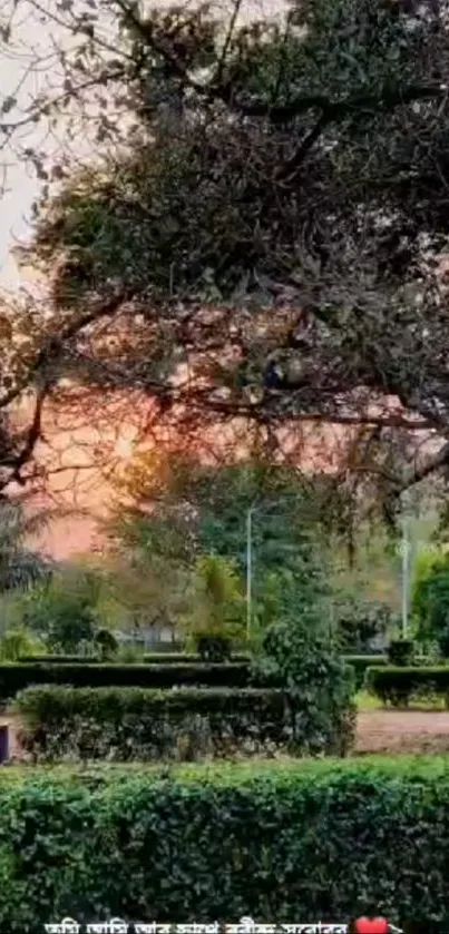 A scenic garden at sunset with lush greenery and an orange sky.