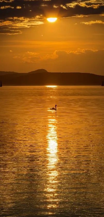 Golden sunset over a tranquil lake with serene reflections.