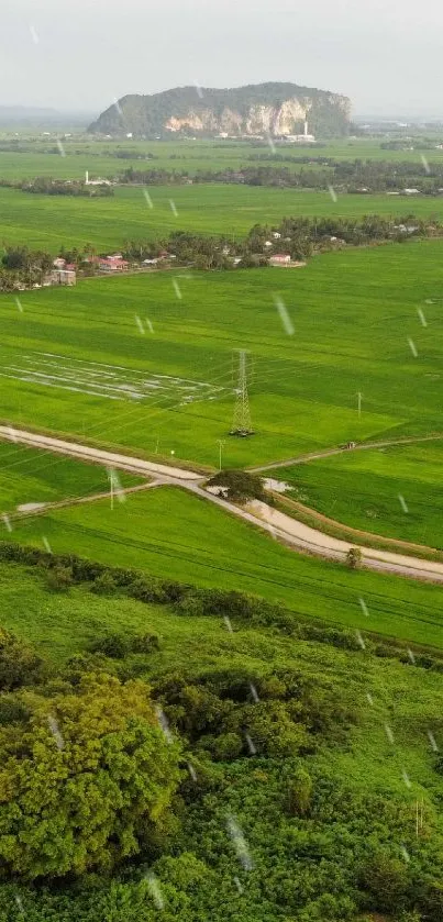 Aerial view of lush green fields under a cloudy sky.