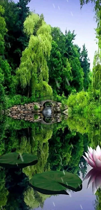 Mobile wallpaper of a serene green forest reflection with water lilies.