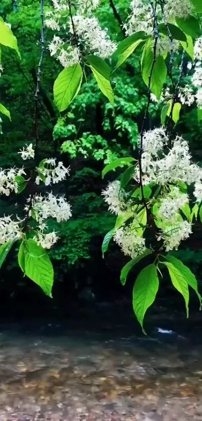 Green forest wallpaper with white flowers and lush leaves over a gentle stream.