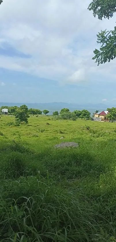 Serene green landscape with lush fields and a distant horizon.