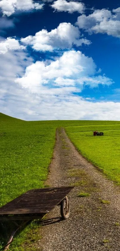 Tranquil green landscape with a gravel path under a vibrant blue sky.