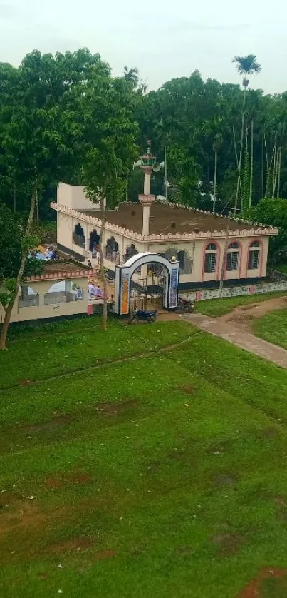 Scenic view of a mosque surrounded by lush greenery.