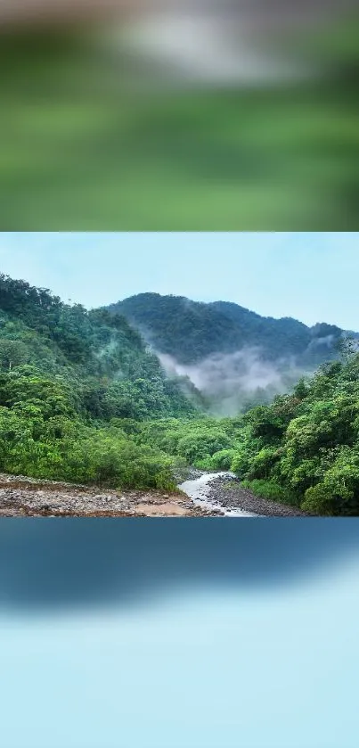 Lush green mountains with mist in a serene mobile wallpaper.