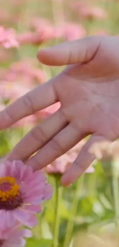 A hand gently touching pink flowers in a serene natural setting.