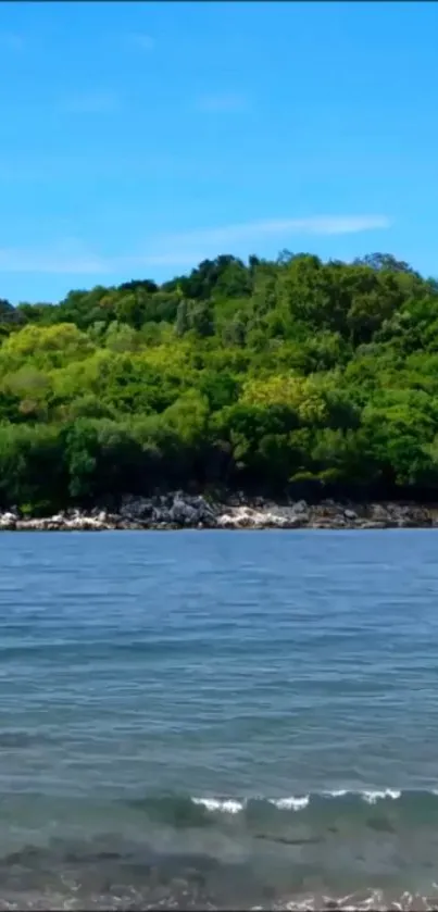 Scenic island with lush greenery by the ocean under a bright blue sky.