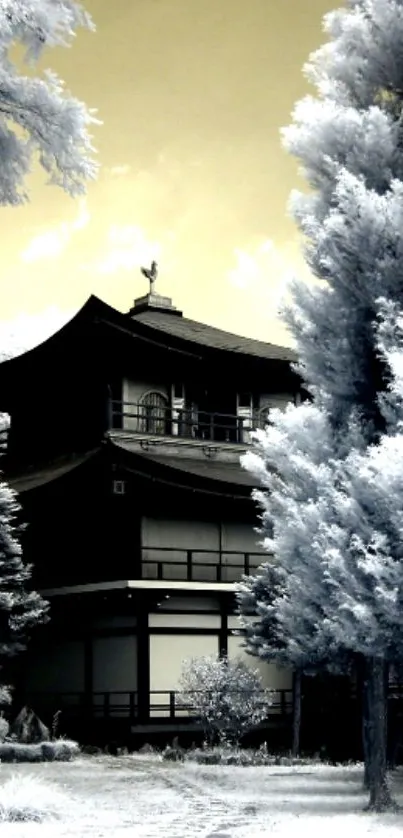 Japanese temple with frosty trees and golden sky wallpaper.