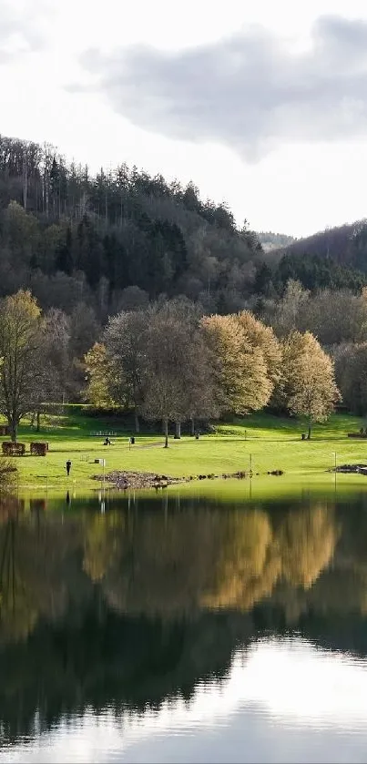 Scenic view of a serene lake with forest reflections and lush greenery.