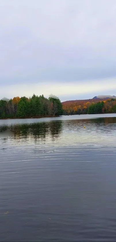 Serene lake with autumn trees reflecting in water