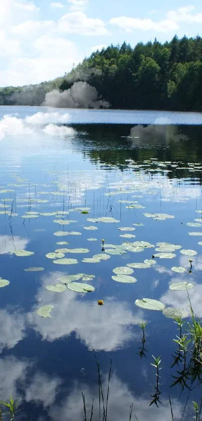 Serene lake and forest view with clear blue skies and lush greenery.