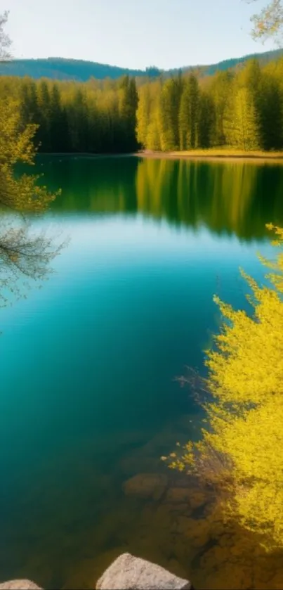 Serene lake and lush green forest wallpaper with tranquil blue waters.