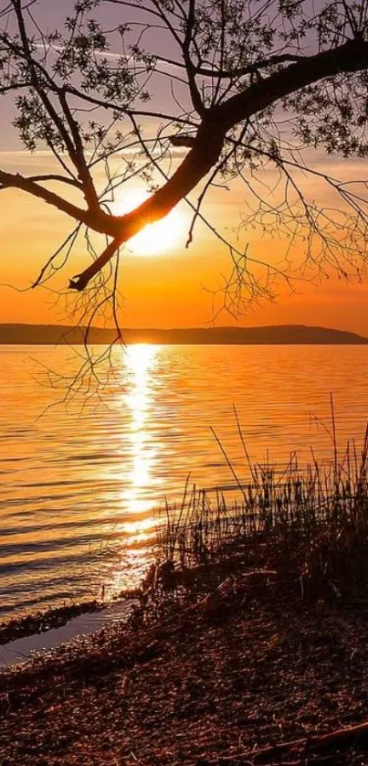 Serene sunset over tranquil lake with glowing reflection.