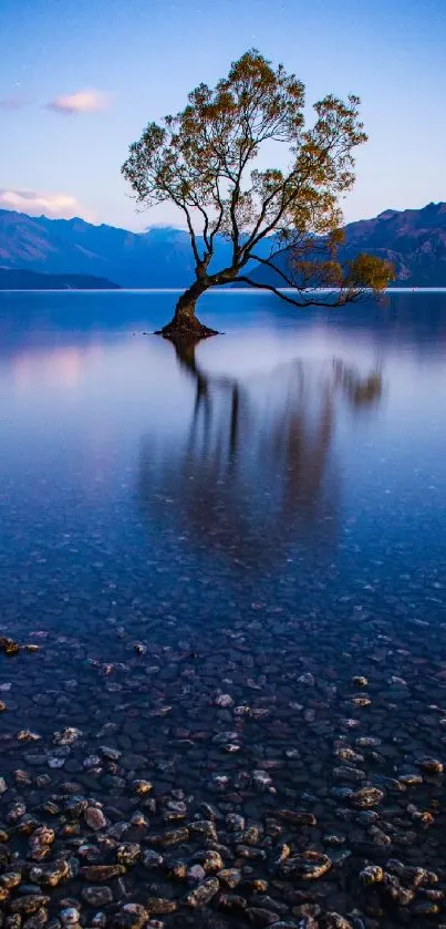 Solitary tree reflected in tranquil lake with mountain backdrop.