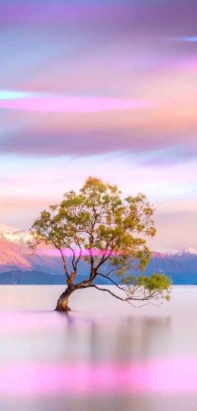 Wallpaper of a tree in a tranquil lake with pastel skies and mountains.